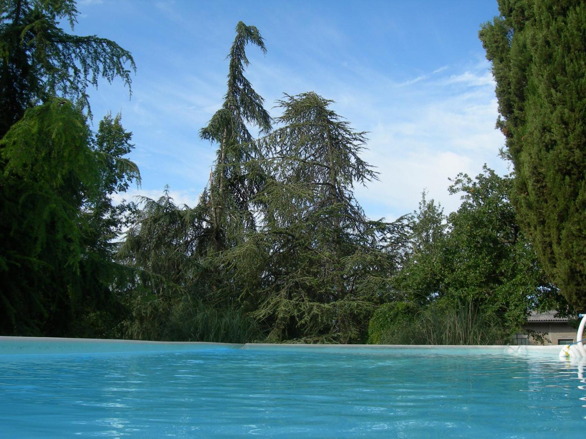 Villa Campo Di Fiore Arezzo Exterior photo